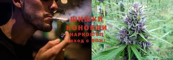 COCAINE Богородицк